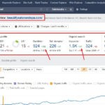 seo of client